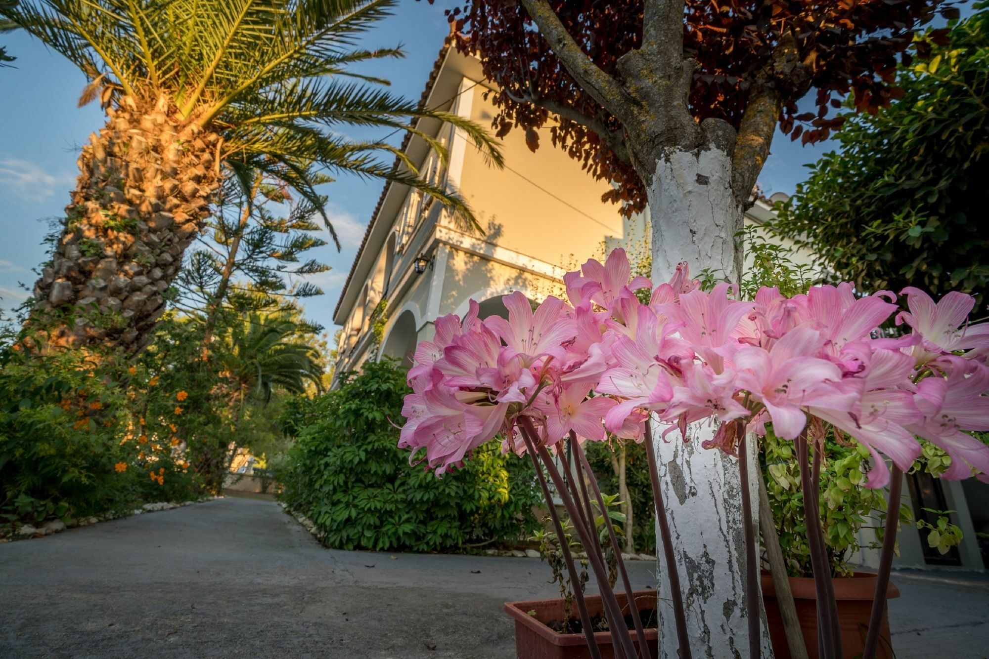 Tota Studios Tsilivi  Buitenkant foto